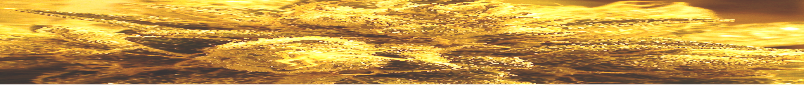 Text Box: 